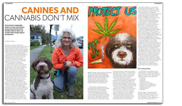 Cannabis Toxic to Pets Article One