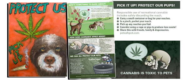 Cannabis Toxic to Pets Posters Cards