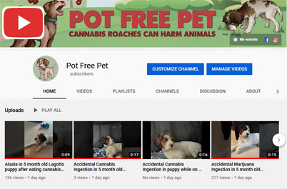 Pot Free Pet Youtube