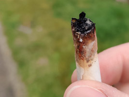 Cannabis Discard Joint Roach Butt